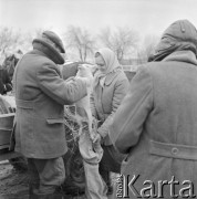 10.03.1972, Piaski, woj. Lublin, Polska
 Rolnicy na jarmarku, mężczyzna oglądający świnkę.
 Fot. Jarosław Tarań, zbiory Ośrodka KARTA [72-148]
   
