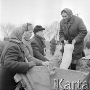 10.03.1972, Piaski, woj. Lublin, Polska
 Rolnicy na jarmarku.
 Fot. Jarosław Tarań, zbiory Ośrodka KARTA [72-148]
   
