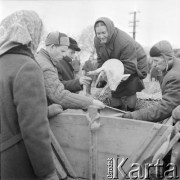 10.03.1972, Piaski, woj. Lublin, Polska
 Rolnicy na jarmarku.
 Fot. Jarosław Tarań, zbiory Ośrodka KARTA [72-148]
   
