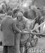 10.03.1972, Piaski, woj. Lublin, Polska
 Rolnicy na jarmarku.
 Fot. Jarosław Tarań, zbiory Ośrodka KARTA [72-147]
   
