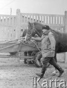 10.03.1972, Piaski, woj. Lublin, Polska
Jarmark, mężczyzna z koniem.
Fot. Jarosław Tarań, zbiory Ośrodka KARTA [72-147]
 
