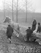 10.03.1972, Piaski, woj. Lublin, Polska
 Rolnicy na jarmarku.
 Fot. Jarosław Tarań, zbiory Ośrodka KARTA [72-147]
   
