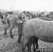 10.03.1972, Piaski, woj. Lublin, Polska
 Rolnicy na jarmarku.
 Fot. Jarosław Tarań, zbiory Ośrodka KARTA [72-147]
   
