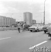 15.08.1972, Warszawa, Polska.
 Ruch uliczny, wóz z koniem między samochodami.
 Fot. Jarosław Tarań, zbiory Ośrodka KARTA [72-130]
   
