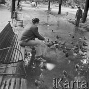 25.06.1972, Warszawa, Polska.
 Mężczyzna karmiący gołębie w parku.
 Fot. Jarosław Tarań, zbiory Ośrodka KARTA [72-215]
   
