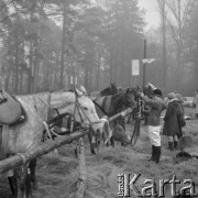 24.10.1972, Podkowa Leśna, Polska
Ośrodek Jeździecki PTTK.
Fot. Jarosław Tarań, zbiory Ośrodka KARTA [72-213]
 
