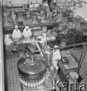 Marzec 1972, Warszawa - Targówek, Polska
Zakłady Mleczarskie, linia produkcyjna.
Fot. Jarosław Tarań, zbiory Ośrodka KARTA [72-200]
 
