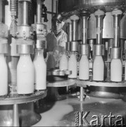 Marzec 1972, Warszawa - Targówek, Polska
Zakłady Mleczarskie, linia produkcyjna.
Fot. Jarosław Tarań, zbiory Ośrodka KARTA [72-200]
 

