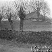 16.12.1972, Żarnowiec, Polska
 Okolice dworku Marii Konopnickiej, drewniana zagroda.
 Fot. Jarosław Tarań, zbiory Ośrodka KARTA [72-220]
   
