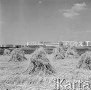 Lipiec 1972, Warszawa, Polska.
 Budowa Trasy Łazienkowskiej, żniwa w stolicy.
 Fot. Jarosław Tarań, zbiory Ośrodka KARTA [72-228a]
   
