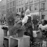 19.09.1973, Warszawa, Polska.
 Kwiaciarka na Rynku Starego Miasta.
 Fot. Jarosław Tarań, zbiory Ośrodka KARTA [73-87]
   
