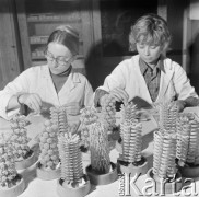 19.11.1973, Warszawa, Polska.
Wytwórnia biżuterii.
Fot. Jarosław Tarań, zbiory Ośrodka KARTA [73-77]
 
