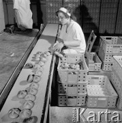 18.10.1973, Warszawa, Polska.
 Piekarnia, pakowanie bułek do koszy.
 Fot. Jarosław Tarań, zbiory Ośrodka KARTA [73-91]
   
