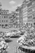 17.07.1973, Warszawa, Polska.
 Rynek Starego Miasta, gazony z kwiatami.
 Fot. Jarosław Tarań, zbiory Ośrodka KARTA [73-213]
   
