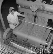 21.03.1974, Gorzów Wielkopolski, Polska
Wytwórnia makaronów, linia produkcyjna.
Fot. Jarosław Tarań, zbiory Ośrodka KARTA [74-23]
 
