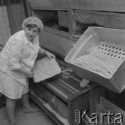 21.03.1974, Gorzów Wielkopolski, Polska
Pracownica wytwórni makaronów.
Fot. Jarosław Tarań, zbiory Ośrodka KARTA [74-23]
 
