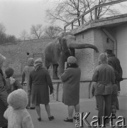 10.03.1974, Warszawa, Polska.
Ogród Zoologiczny, wybieg dla słoni.
Fot. Jarosław Tarań, zbiory Ośrodka KARTA [74-11]
 
