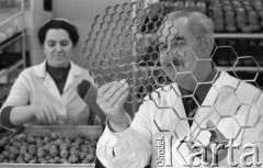 15.11.1974, Warszawa, Polska.
Władysław Grabowski, cukiernik, konstruktor form do pieczenia pączków.
Fot. Jarosław Tarań, zbiory Ośrodka KARTA [74-9]
 
