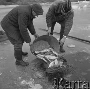 4.02.1974, Zalew Zegrzyński, Polska
Połowy pod lodem.
Fot. Jarosław Tarań, zbiory Ośrodka KARTA [74-89]
 
