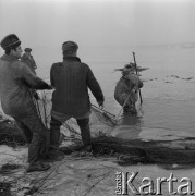 4.02.1974, Zalew Zegrzyński, Polska
Połowy pod lodem, wyciąganie sieci.
Fot. Jarosław Tarań, zbiory Ośrodka KARTA [74-92]
 
