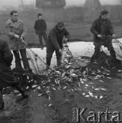 4.02.1974, Zalew Zegrzyński, Polska
Połowy pod lodem, wyciąganie sieci.
Fot. Jarosław Tarań, zbiory Ośrodka KARTA [74-92]
 
