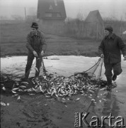 4.02.1974, Zalew Zegrzyński, Polska
Połowy pod lodem, wyciąganie sieci.
Fot. Jarosław Tarań, zbiory Ośrodka KARTA [74-92]
 

