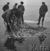 4.02.1974, Zalew Zegrzyński, Polska
Połowy pod lodem, wyciąganie sieci.
Fot. Jarosław Tarań, zbiory Ośrodka KARTA [74-92]
 
