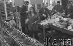 17.12.1974, Warszawa, Polska.
Poczta Główna w okresie przedświątecznym, rozdzielnia listów.
Fot. Jarosław Tarań, zbiory Ośrodka KARTA [74-113]
 

