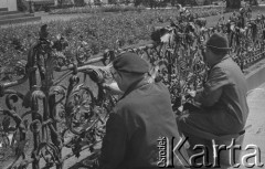 6.06.1974, Warszawa, Polska.
Konserwacja ogrodzenia przy pomniku Adama Mickiewicza.
Fot. Jarosław Tarań, zbiory Ośrodka KARTA [74-122]
 
