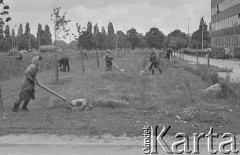8.07.1974, Warszawa, Polska.
Sianokosy przy klinice Akademii Medycznej na Banacha.
Fot. Jarosław Tarań, zbiory Ośrodka KARTA [74-117]
 
