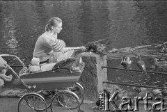 8.10.1974, Warszawa, Polska.
Łazienki - kobieta z dzieckiem karmiąca gołębie i kaczki.
Fot. Jarosław Tarań, zbiory Ośrodka KARTA [74-134]
 
