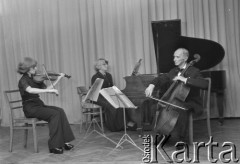 8.10.1974, Warszawa, Polska.
 Trio Kazimierza Wiłkomirskiego, koncert w ZAiKS-ie.
 Fot. Jarosław Tarań, zbiory Ośrodka KARTA [74-181]
   
