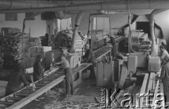 24.06.1974, Wołomin, Polska
Fabryka Stolarki Budowlanej.
Fot. Jarosław Tarań, zbiory Ośrodka KARTA [74-184]
 
