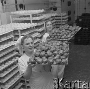 20.02.1974, Warszawa, Polska.
Piekarnia w tłusty czwartek.
Fot. Jarosław Tarań, zbiory Ośrodka KARTA [74-247]
 
