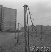 7.02.1974, Warszawa, Polska.
Osiedle Chomiczówka w budowie, połamane drzewka.
Fot. Jarosław Tarań, zbiory Ośrodka KARTA [74-245]
 
