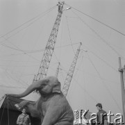 3.04.1974, Warszawa, Polska.
Słoń cyrkowy w czasie tresury.
Fot. Jarosław Tarań, zbiory Ośrodka KARTA [74-234]
 
