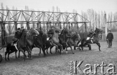 10.04.1975, Warszawa - Służew, Polska.
Tor wyścigowy na Służewcu, konie w boksie startowym, start wyścigu.
Fot. Jarosław Tarań, zbiory Ośrodka KARTA [75-77]
 
