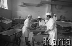 1975, Polska
Masarnia, produkcja wyrobów garmażeryjnych.
Fot. Jarosław Tarań, zbiory Ośrodka KARTA [75-71]
 
