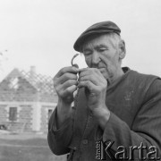 10.11.1975, Polska
Rolnik z fragmentem bransolety żmijowatej z okresu wpływów rzymskich, znalezionym na polu.
Fot. Jarosław Tarań, zbiory Ośrodka KARTA [75-307]
 
