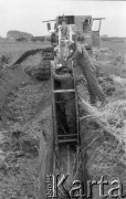 1.07.1975, Polska
Melioracja systemem mechanicznym.
Fot. Jarosław Tarań, zbiory Ośrodka KARTA [75-160]
 
