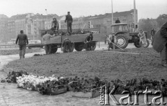 4.05.1975, Warszawa, Polska.
Czyn partyjny, sadzenie kwiatów na klombie.
Fot. Jarosław Tarań, zbiory Ośrodka KARTA [75-201]
 
