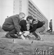30.09.1975, Warszawa - Żoliborz, Polska.
Czyn partyjny na osiedlu mieszkaniowym w rejonie Kępy Potockiej, Edward Gierek.
Fot. Jarosław Tarań, zbiory Ośrodka KARTA [75-272]
 
