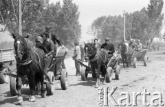 20.05.1975, Stary Sącz, Polska
Dzień targowy, ludzie na wozach.
Fot. Jarosław Tarań, zbiory Ośrodka KARTA [75-299]
 
