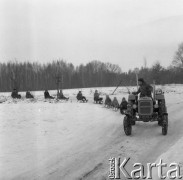 25.01.1976, Las Kabacki, woj. Warszawa, Polska.
Kulig, sanki za traktorem.
Fot. Jarosław Tarań, zbiory Ośrodka KARTA [76-154]

