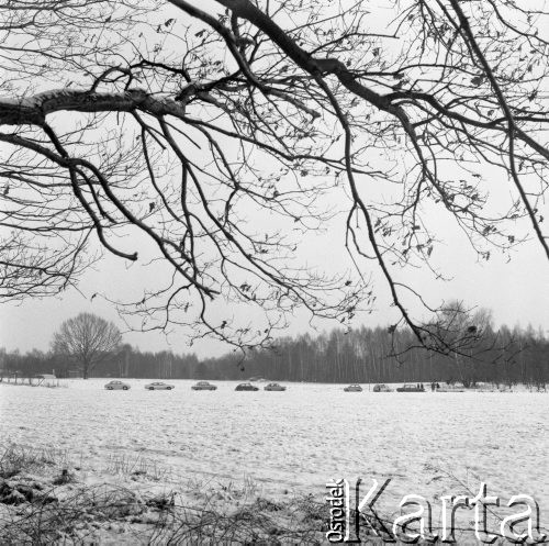 25.01.1976, Las Kabacki, woj. Warszawa, Polska.
Samochody na drodze koło Lasu Kabackiego.
Fot. Jarosław Tarań, zbiory Ośrodka KARTA [76-154]

