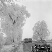 1976, Polska
Trasa z Warszawy do Lublina zimą.
Fot. Jarosław Tarań, zbiory Ośrodka KARTA [76-132]

