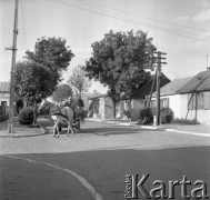 Maj 1976, Łęczna, woj. Lublin, Polska
Fragment miasteczka, koń ciągnący wóz.
Fot. Jarosław Tarań, zbiory Ośrodka KARTA [76-129]

