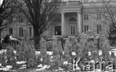 10.03.1976, Warszawa, Polska.
Ogród Botaniczny, słomiane chochoły ochraniające krzewy.
Fot. Jarosław Tarań, zbiory Ośrodka KARTA [76-232]

