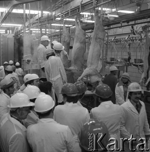 29.01.1976, Rawa Mazowiecka, Polska
Kombinat Mięsny, nowa linia produkcyjna.
Fot. Jarosław Tarań, zbiory Ośrodka KARTA [76-228]

