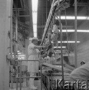29.01.1976, Rawa Mazowiecka, Polska
Kombinat Mięsny, nowa linia produkcyjna.
Fot. Jarosław Tarań, zbiory Ośrodka KARTA [76-227]

